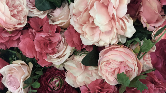 Discover Flower Power at IB Sprays