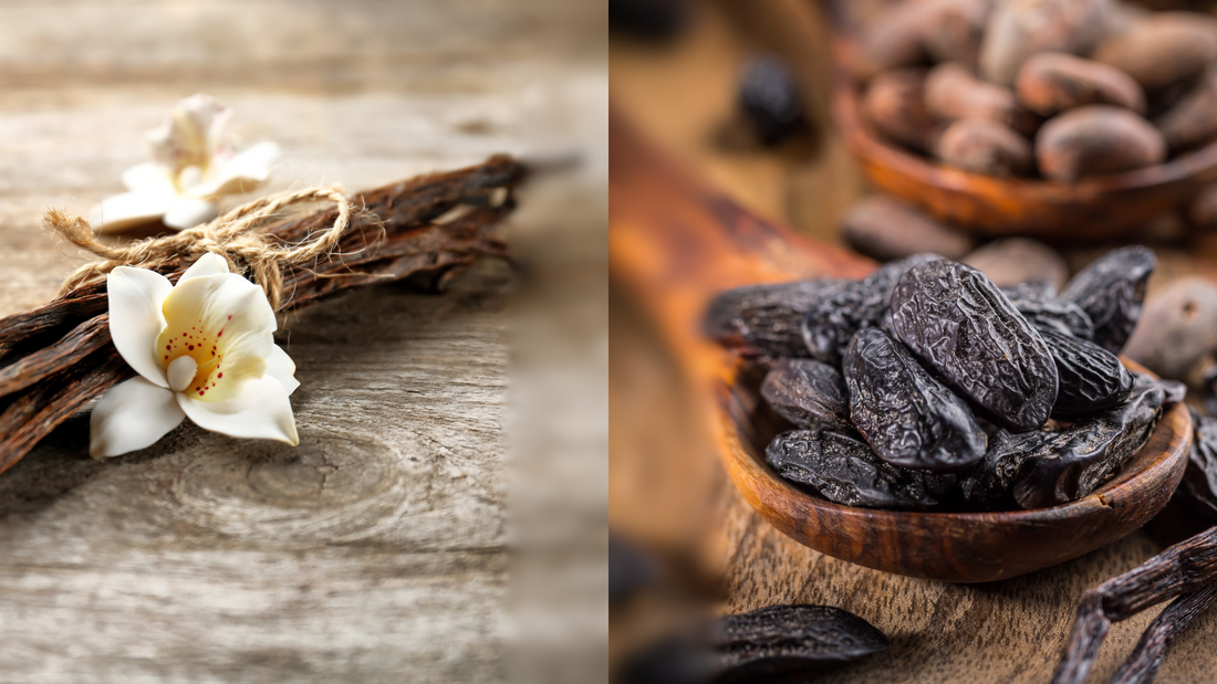 From Beans to Bottles: Vanilla and Tonka at IB Sprays
