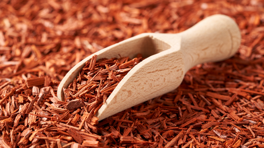 Sandalwood: The Star of Designer Inspired Scents