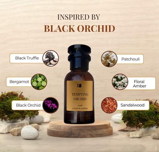 Tempting Orchid 50ml - Inspired by Black Orchid