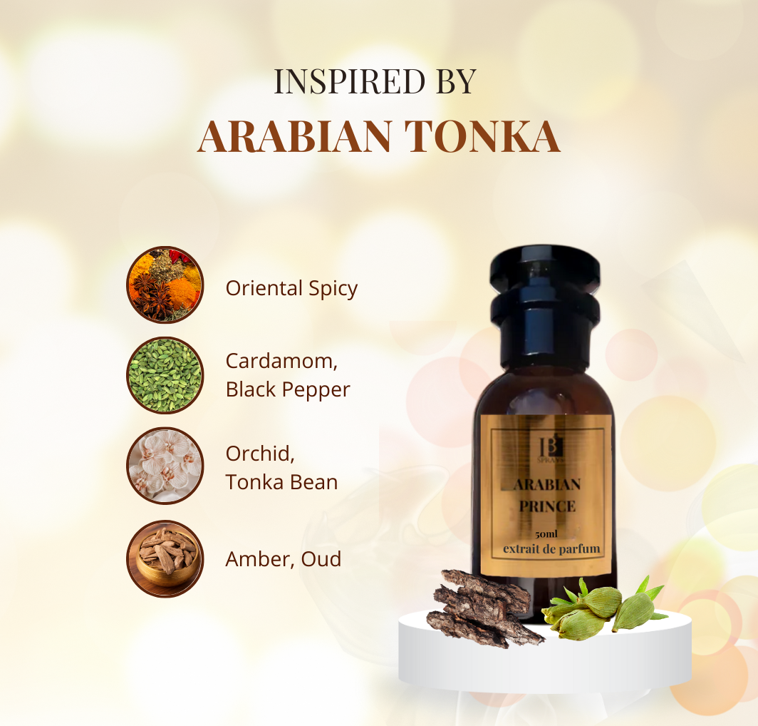 Arabian Prince - Inspired by Arabian Tonka