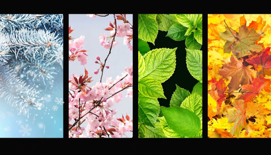 Scent and Seasons: The Best Fragrances for Every Time of Year
