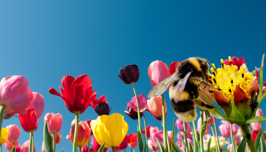 Top Spring Scents to Refresh Your Senses