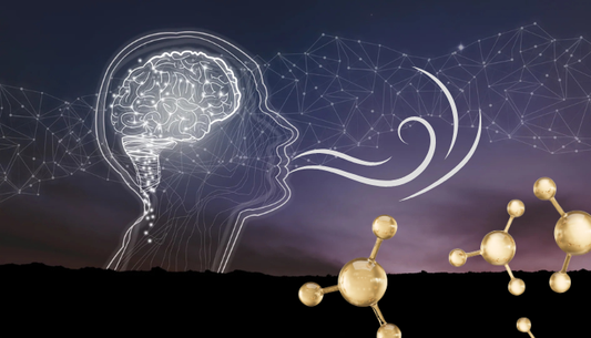 The Science of Scent: How Perfumes Influence Our Emotions